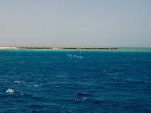 majk
